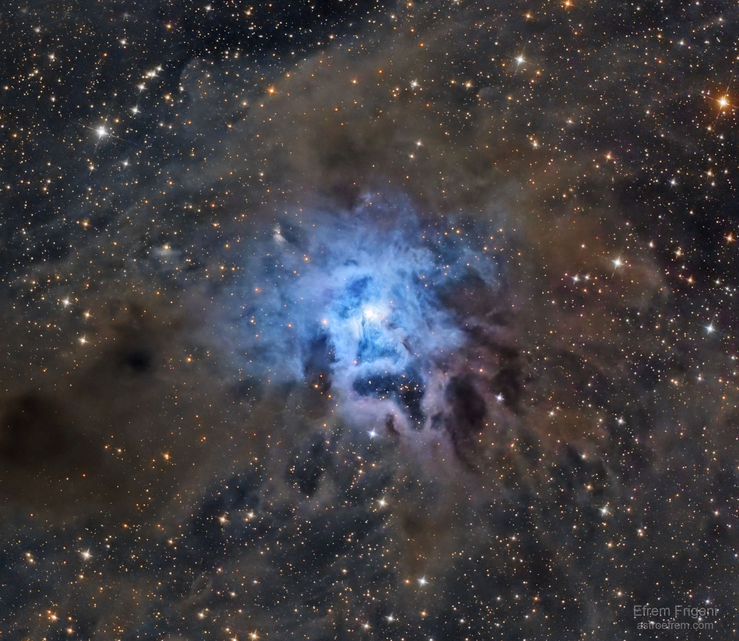 NGC 7023  The Iris Nebula