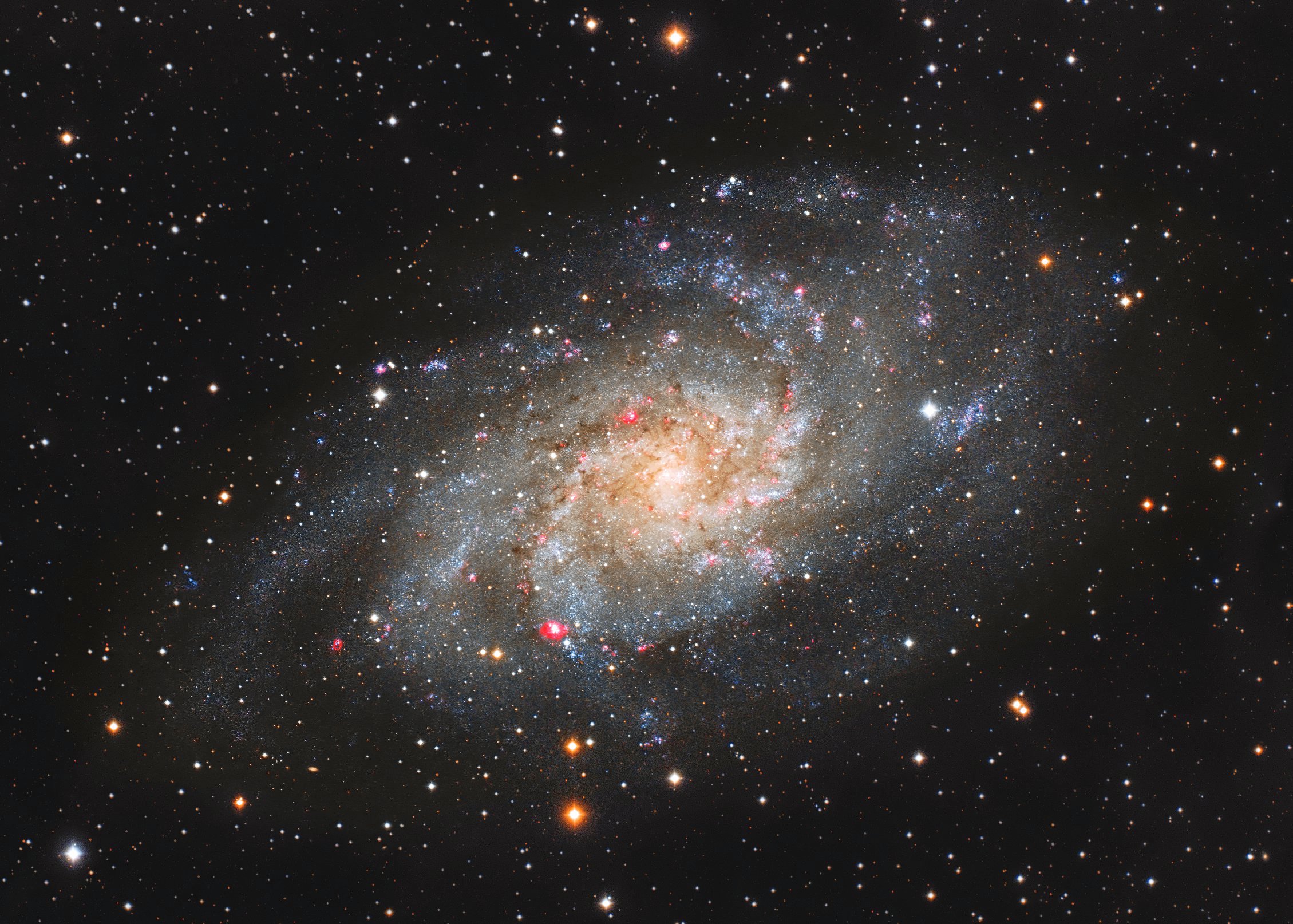 M33