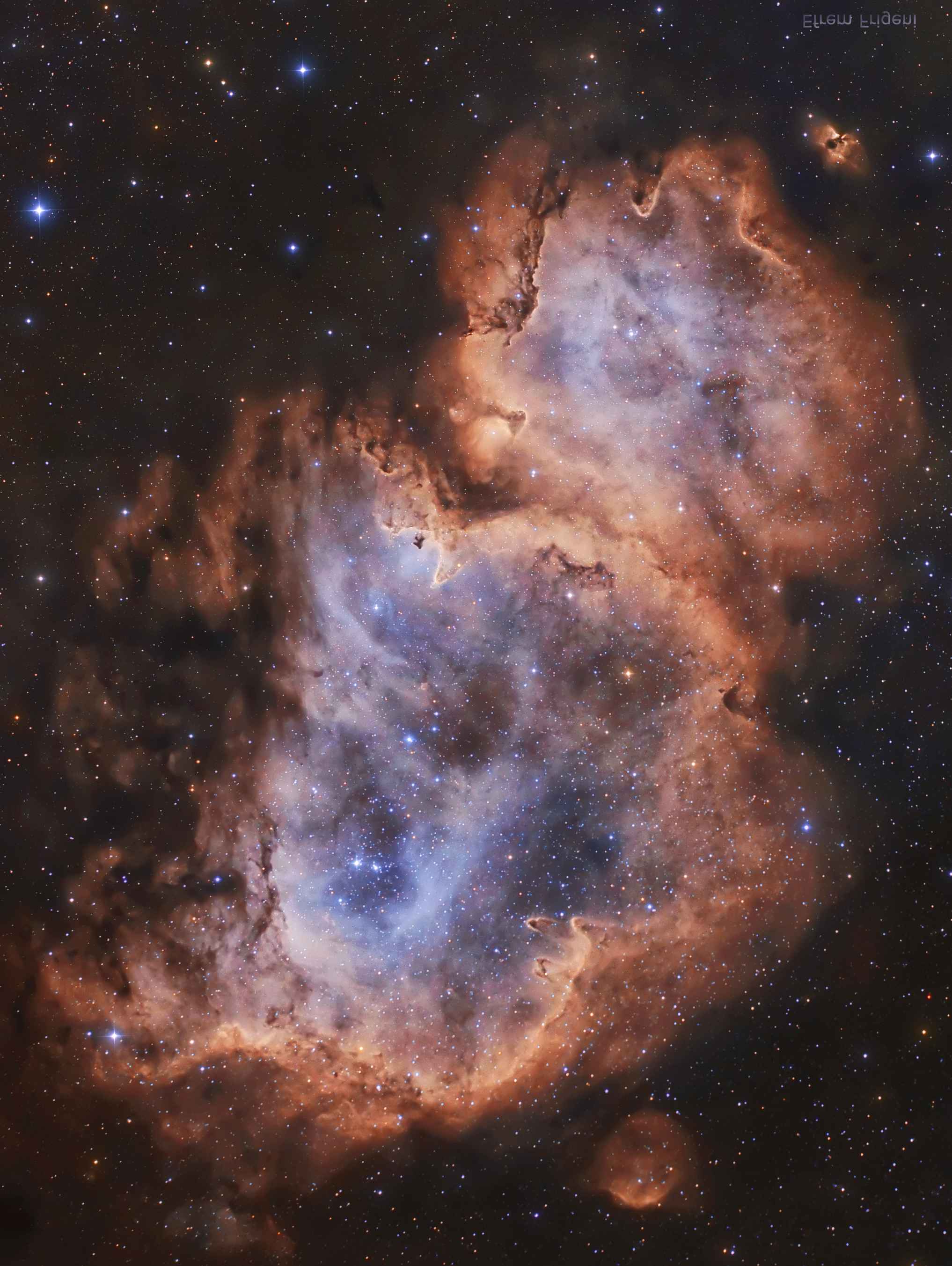 IC1848