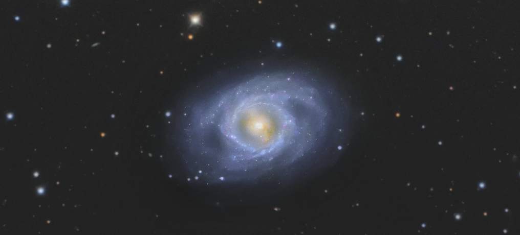 M95  
