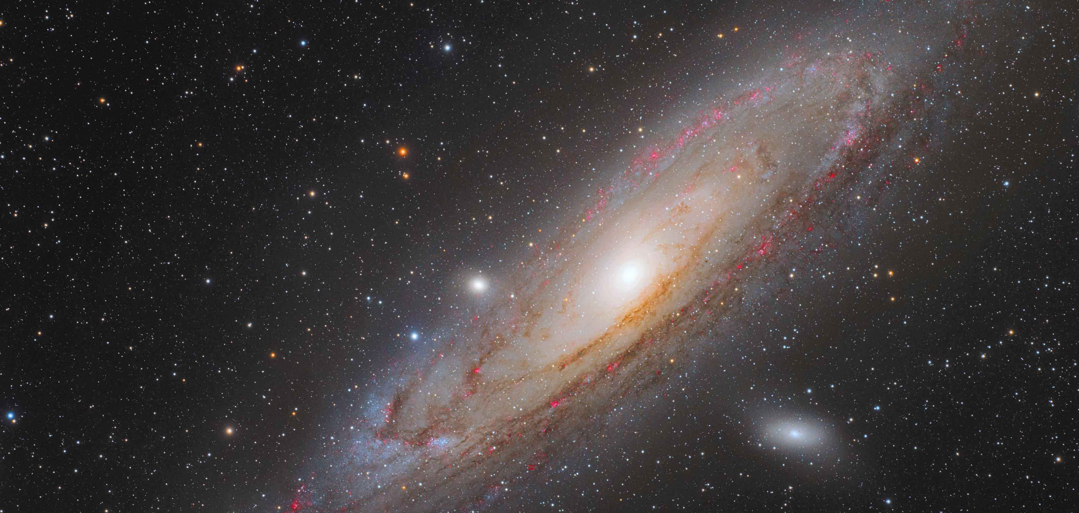 M31