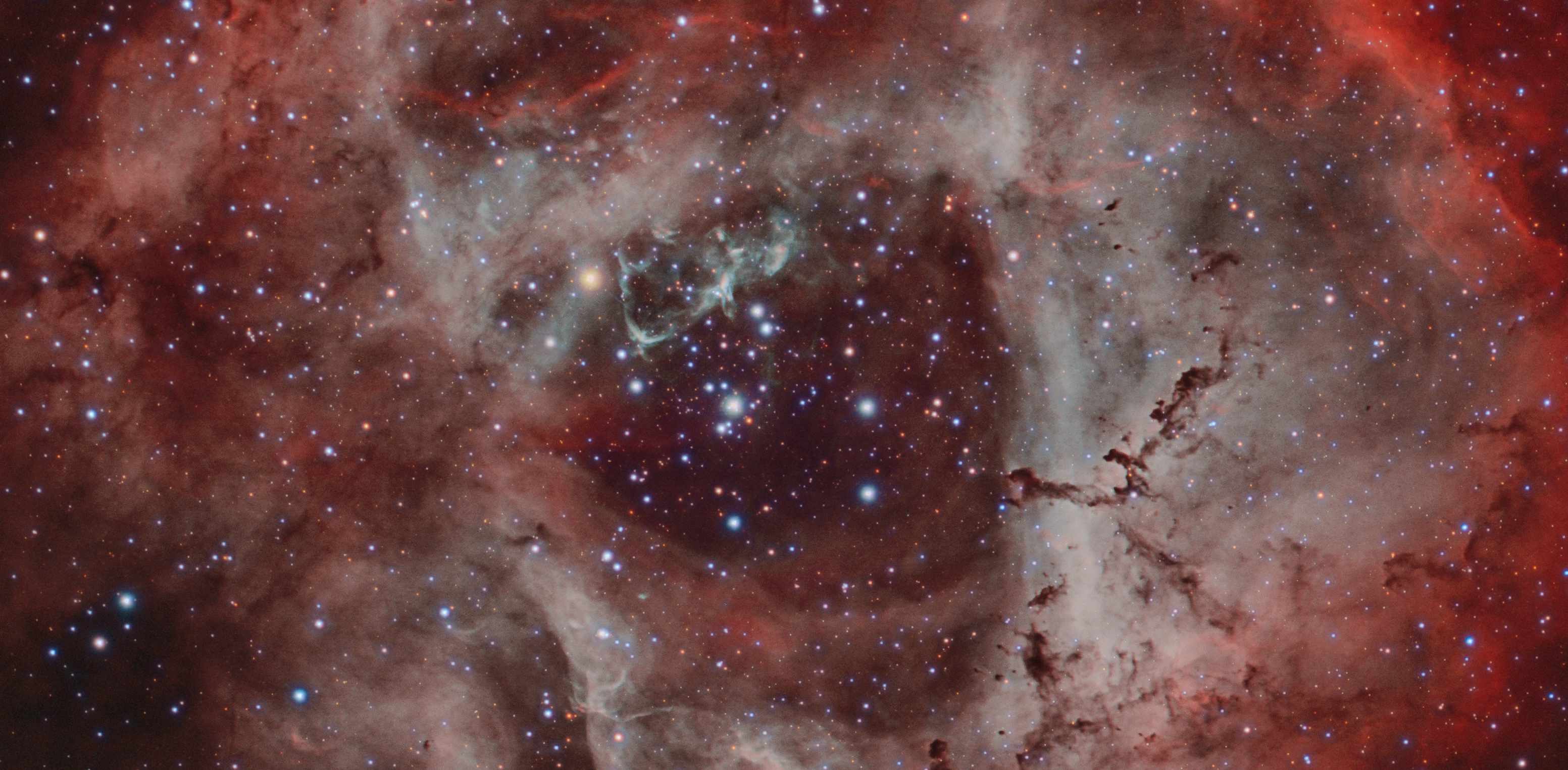 NGC 2237 in HOO