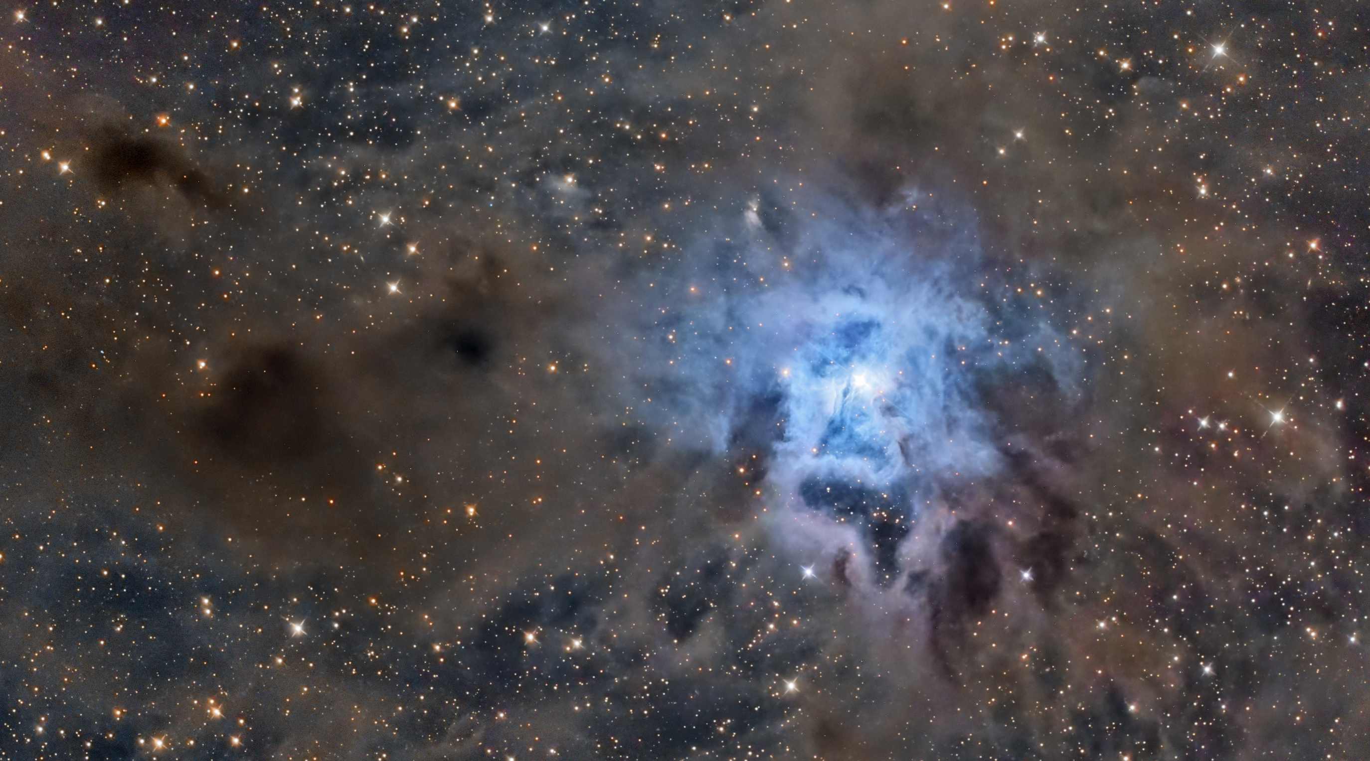 NGC 7023  The Iris Nebula 