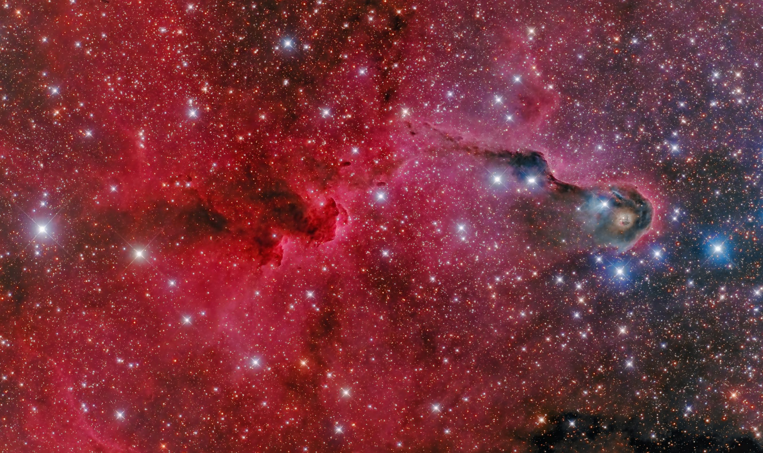 vdB 142 - IC1396  (2)