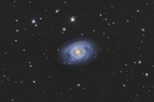 M95