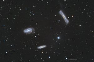 Leo Triplet