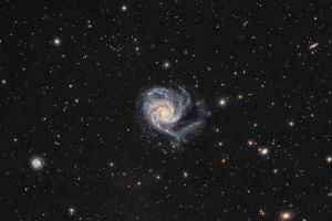 m101wf