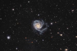 m101wf
