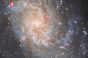 M33 detail