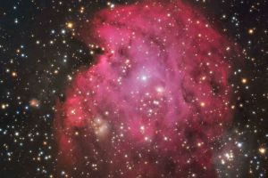 ngc2174