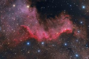 ngc7000